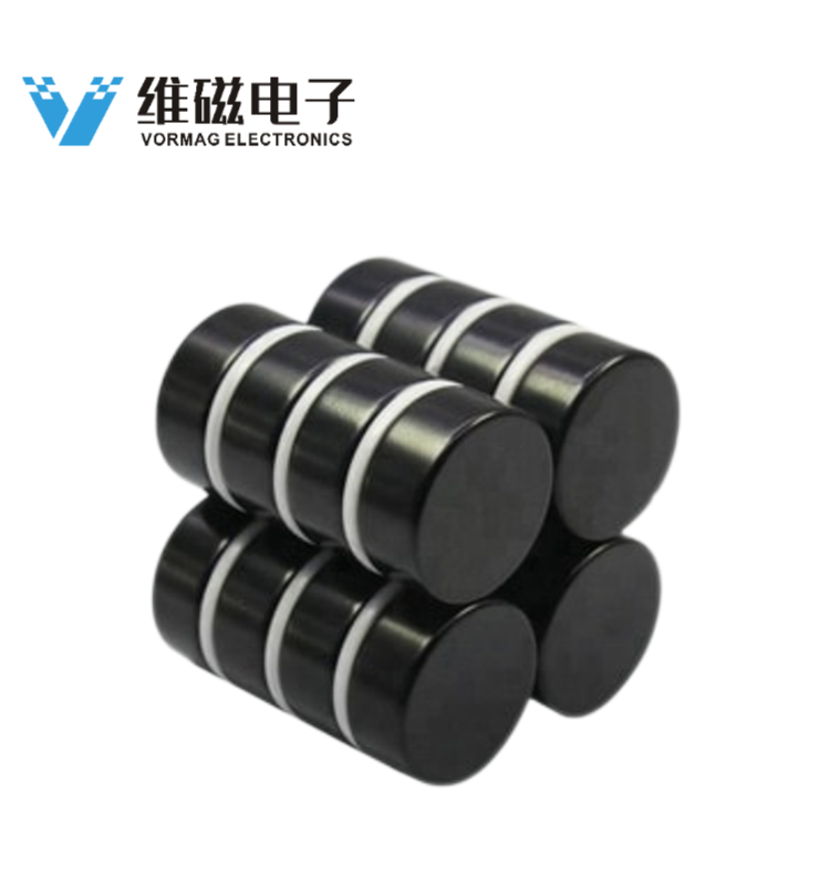 N52 D25X10mm Epoxy Coated Neodymium Disc Magnet